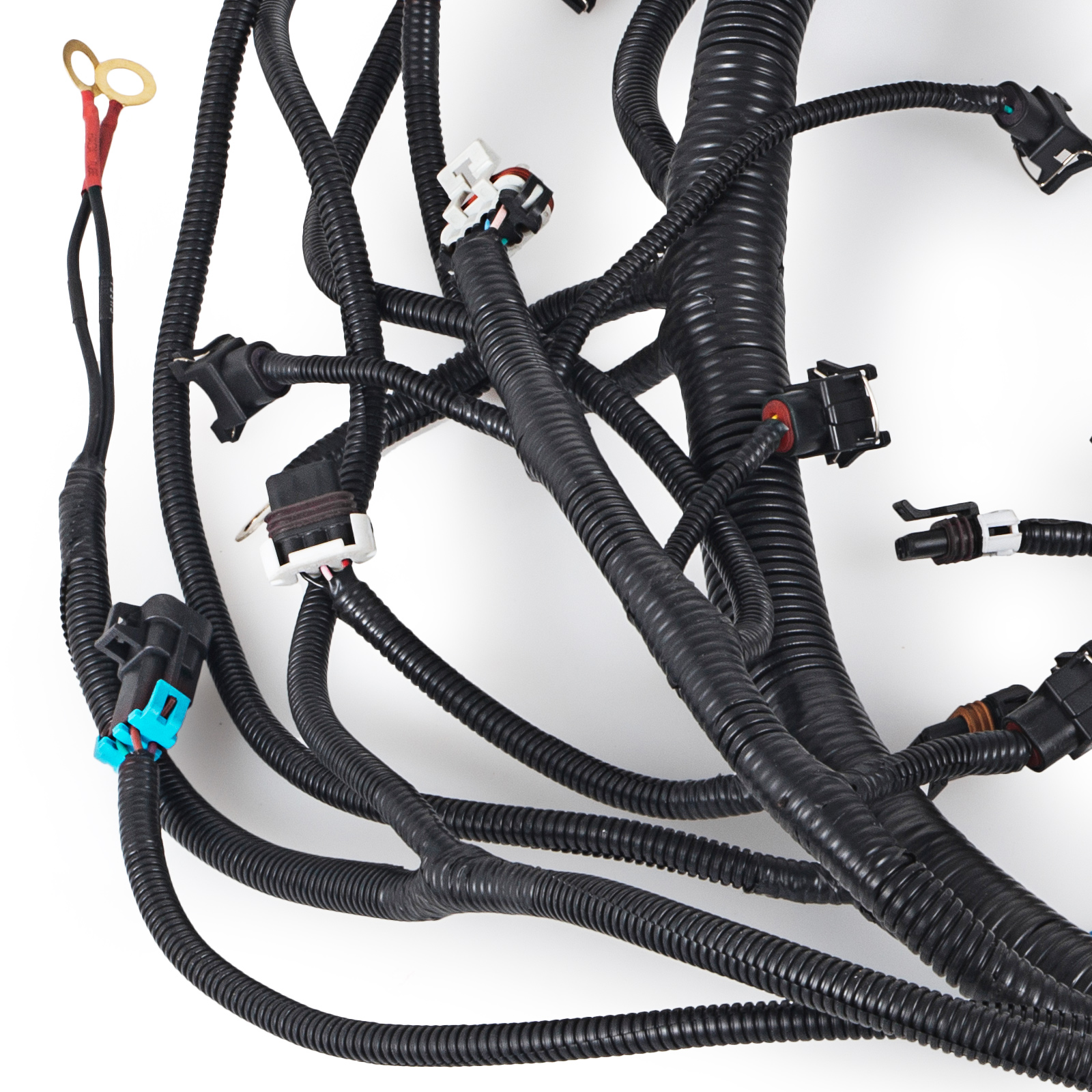 1997-2006 DBC LS1 STANDALONE WIRING HARNESS T56 or Non-Electric Tran 4.